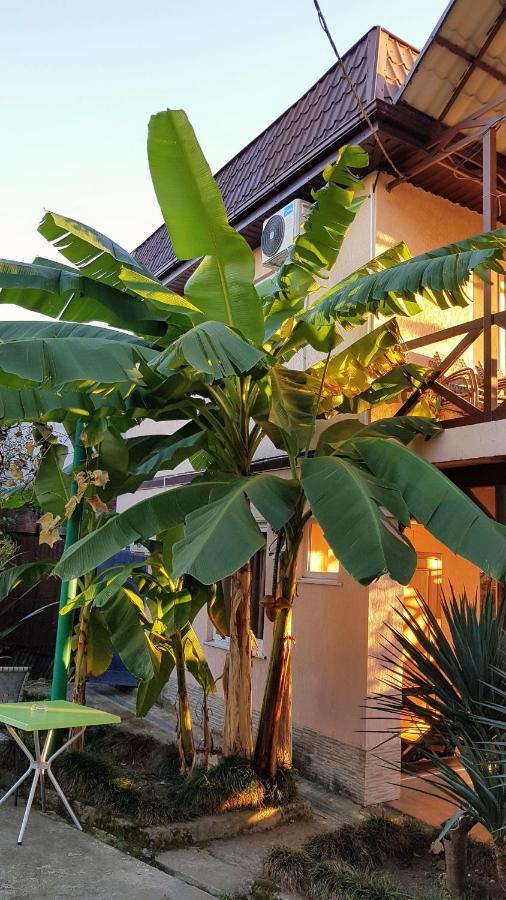 Samida Otel New Athos Dış mekan fotoğraf
