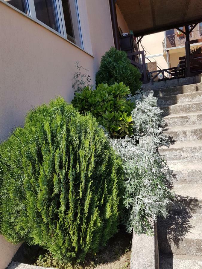 Samida Otel New Athos Dış mekan fotoğraf
